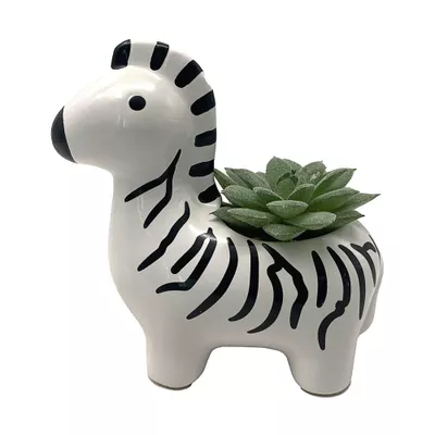 Faux Succulent in Zebra Pot