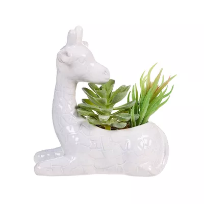 Faux Succulent Giraffe/Jungle
