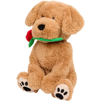 Plyšový pes Mini Matters