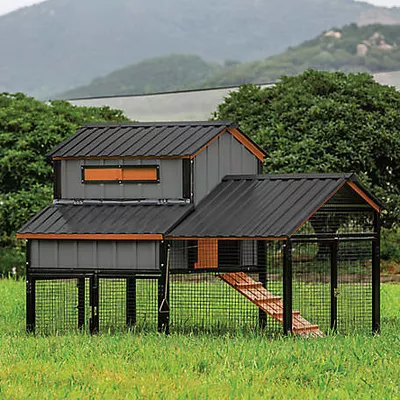 Producer's Pride Bungalow Coop, 6 Chicken Capacity