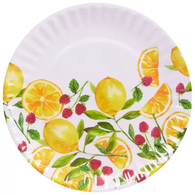 Summer Fruits Plate Dinner Melamine