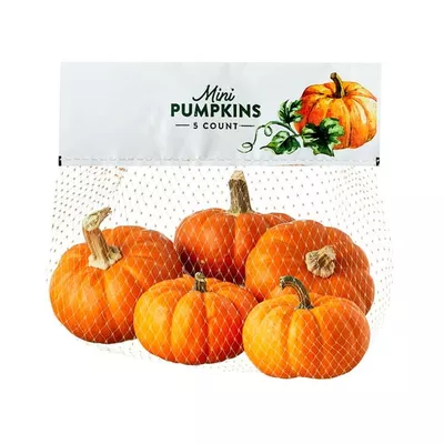 Fresh Mini Pumpkins, 5 Count Bag, Whole Seasonal Fall Décor