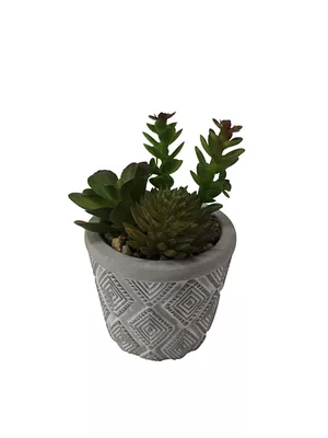 Multi Faux Succulent Pattern Cement Pot