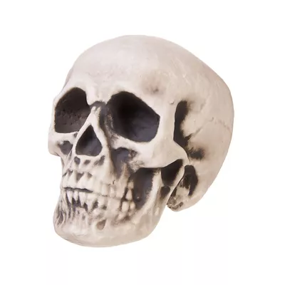 Halloween Foam Skull