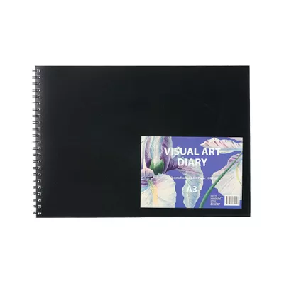A3 Visual Diary