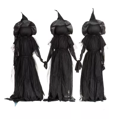 Evergreen Enterprises 3 pc Lighted Halloween Witch Stakes Set