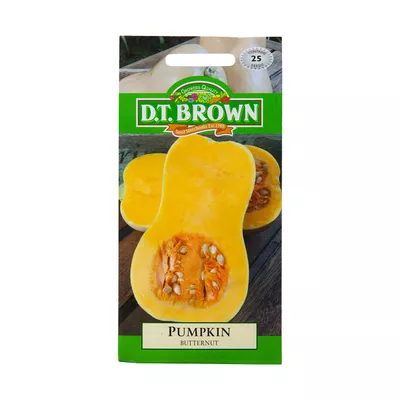 Dt Brown Butternut Pumpkin Seeds 25pc