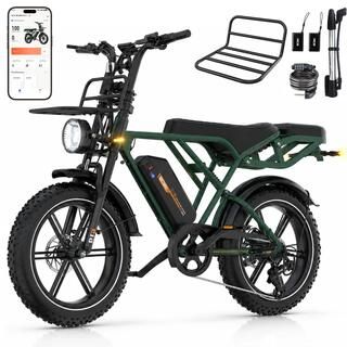 RCB Bici elettrica MTB G19 20"×4.0 250W batteria 48V 1080Wh sensore di coppia