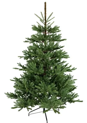 Kunstigt juletræ m/160 LED-lys, 150 cm