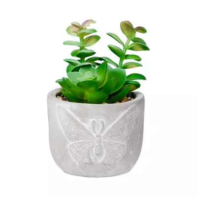 Faux Succulent In Cement Pot Bug/Butterfly