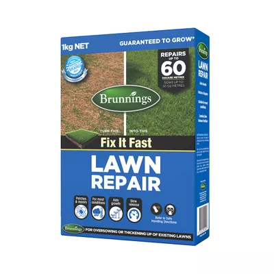 Brunnings Lawn Repair Seed 1kg