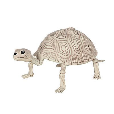 Red Shed 14 in. Turtle Halloween Skeleton