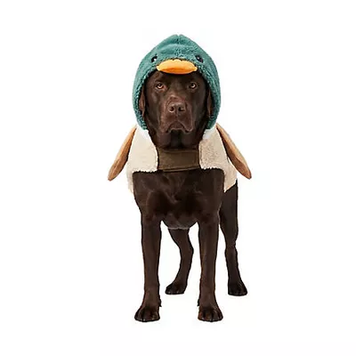 New! Retriever Mallard Duck Dog Costume