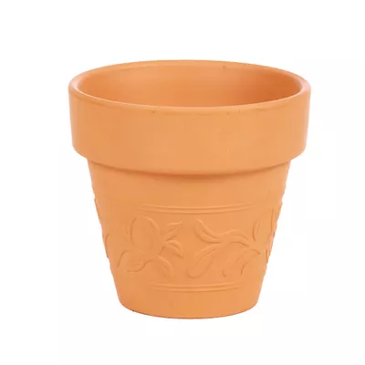 Terracotta Pot Vine D11cm