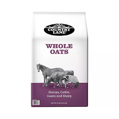 Country Lane Whole Oats Livestock Feed, 40 lb. Bag