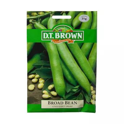 Dt Brown Broad Bean Seeds 25g