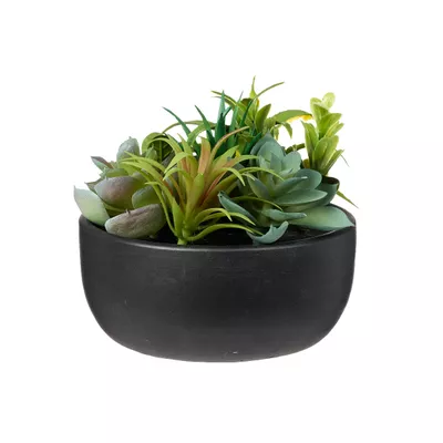 Multi Faux Succulent in Pot Black/White