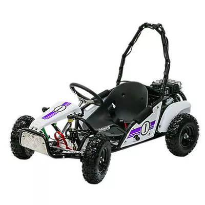 Coleman Powersports SK100-PR 98cc Gas-Powered Go Kart, Purple/White
