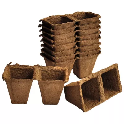 Dyrkningspotter, 6x6 cm