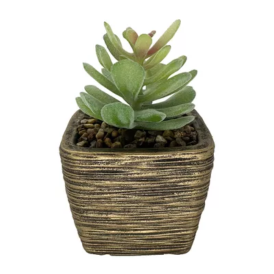 Faux Succulent In Ribbed Gold Pot Assorted