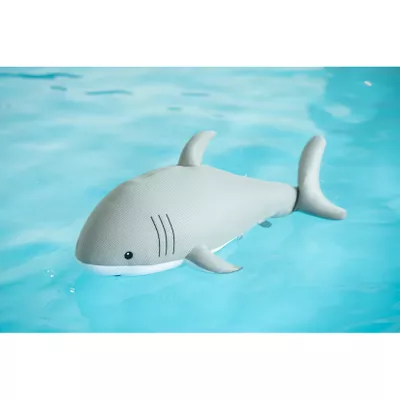 Westmann Pool Buddy versch. Ausführungen