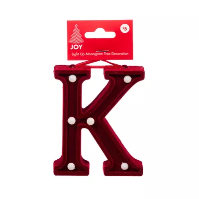 Christmas Battery-Operated Light-Up Letter Assorted
