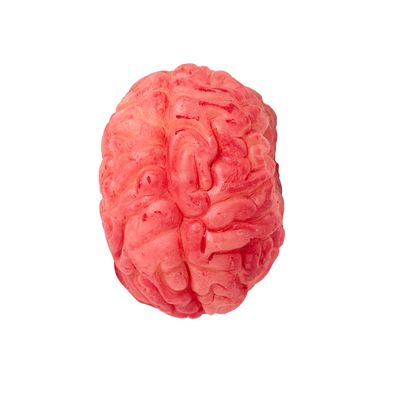 Halloween Brain and Heart Assorted