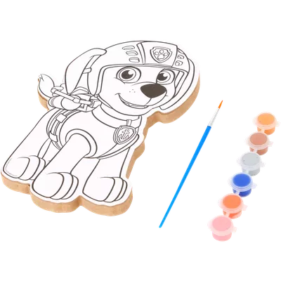 Malířská sada s plátnem Paw Patrol