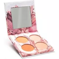 Looks Blush Palette