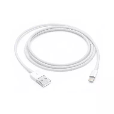 Apple Cavo da lightning a USB 1mt