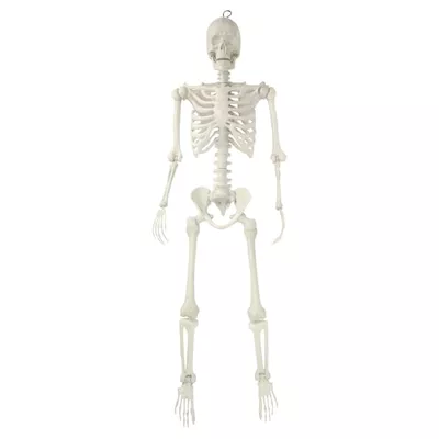 Hanging Posable Skeleton Decoration, White, 5', Halloween by Way To Celebrate