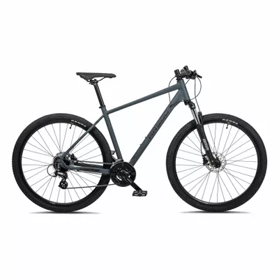 Mountainbike 29 Zoll RR500 dunkelgrau