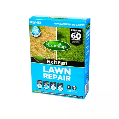 Brunnings Lawn Repair Seed 1kg