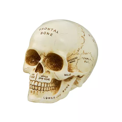 Halloween Skull With Words Figurine